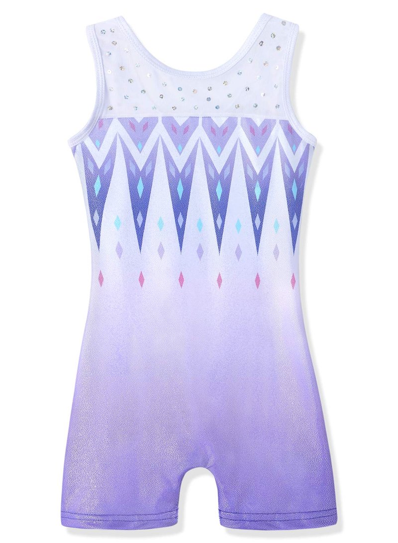 HOZIY Gymnastics Leotards for Toddler Girls 2t 3t Purple Snow Sparkles Snowflakes