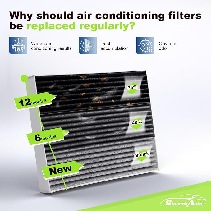 Engine and Cabin Air Filter Combo
