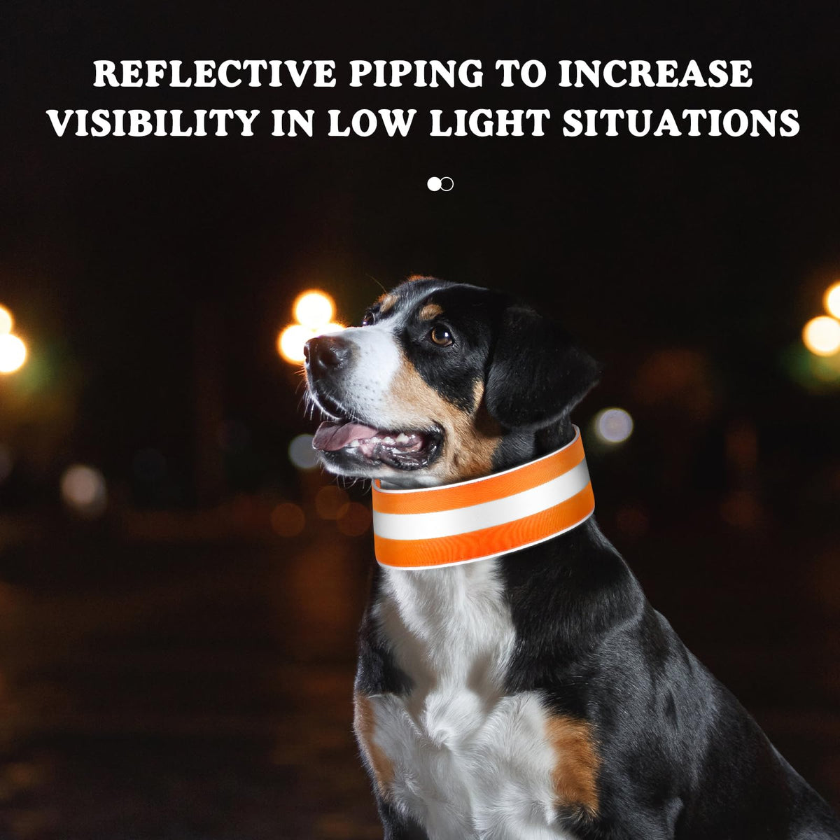 Paterr 2 Pcs Reflective Dog Collar High Visibility Adjustable Pet Collars with Quick Release Fastener Comfortable Dog Walking Accessories for Small Medium Large Pet, Orange, Fluorescent Green(Stripe)
