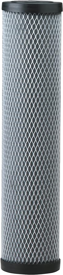 Pentair Pentek C1-20BB Big Blue Carbon Water Filter, Whole House Heavy Duty