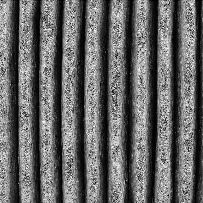 2pcs Cabin Air Filter for X5 E70 X6 E71