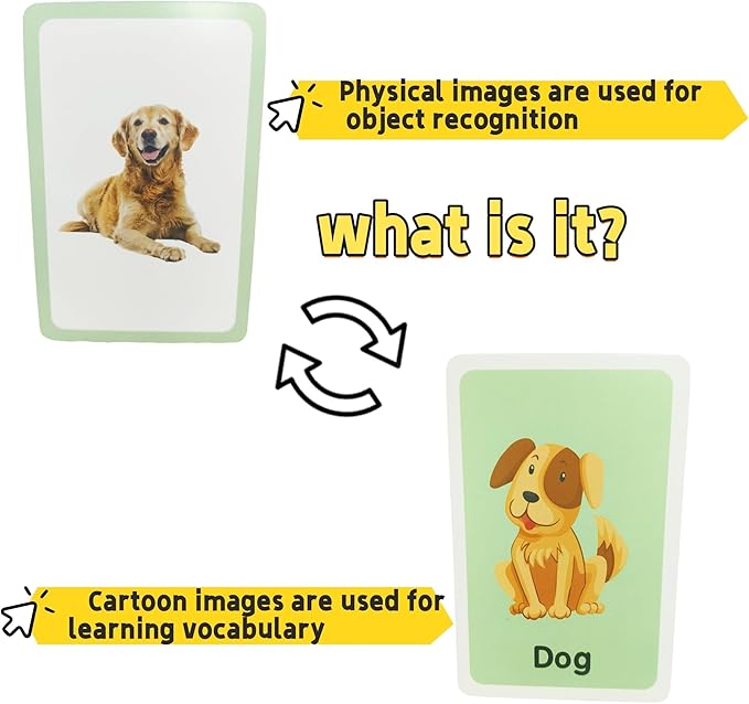 Flash Cards for Toddlers, Educational Learning Set of 144, Body Animal Food Fruit Cards, Ages 2-6, Montessori Preschool Learning Toys for Kindergarten (Orange, Pocket-Size)