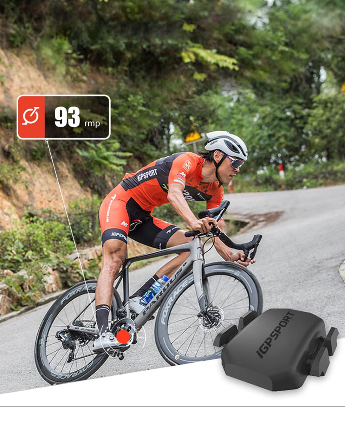 iGPSPORT Speed Cadence Sensor Bundle, Bluetooth ANT+ Wireless Waterproof Cycling Sensor, Compatible with Bike Computer Stationary Bike