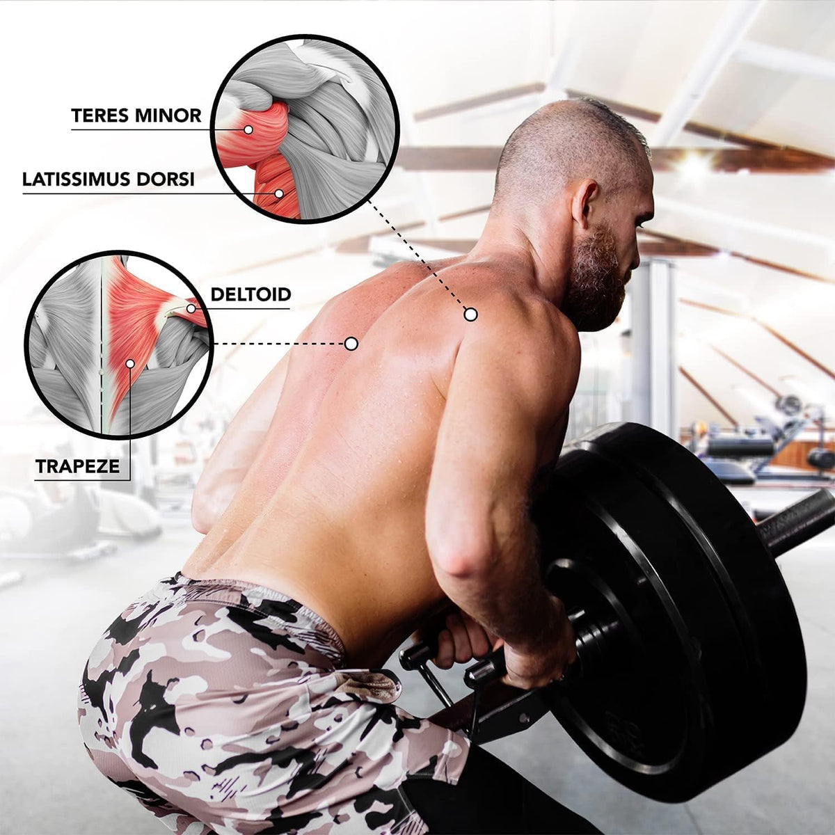 Yes4All Combo T-Bar Row Plate Insert & Viking Press Handle