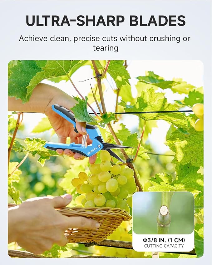 Fondwell 2-Pack 6.5" Precision Trimming Scissors Pruning Shears Garden Snip