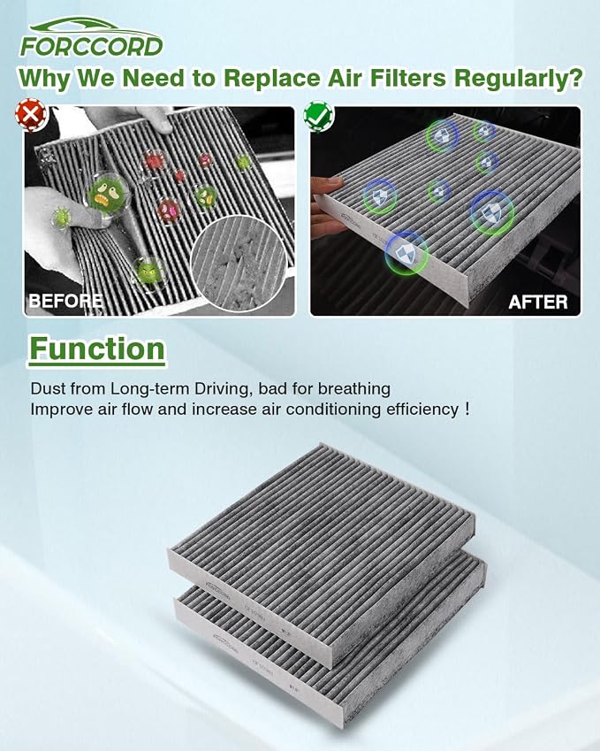 Cabin Air Filter and Engine Air Filter Fit