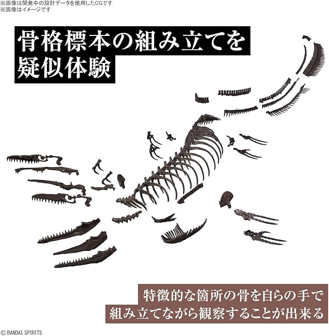 Bandai Hobby - Mosasaurus Imaginary Skeleton 1/32 Dinosaur Model Kit