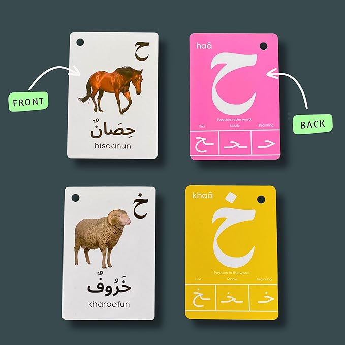 Arabic Alphabet Flash Cards for Kids Toddler and Adults, Arabic First Words, Letter Recognition, Homeschool Learning, Arabic Teacher