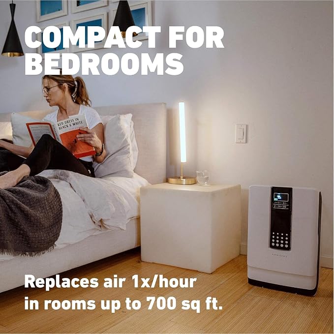 HATHASPACE HSP001 True HEPA Air Purifier