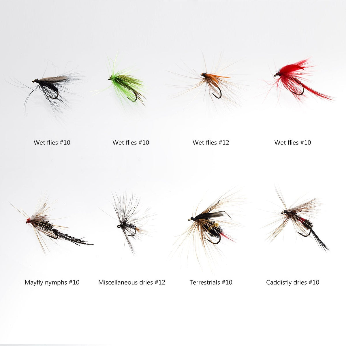BASSDASH Fly Fishing Assorted Flies Kit, Pack of 64 pcs Including Dry and Wet Flies, Nymphs, Streamers, Terrestrials, Leeches and More, with Magnetic Fly Box