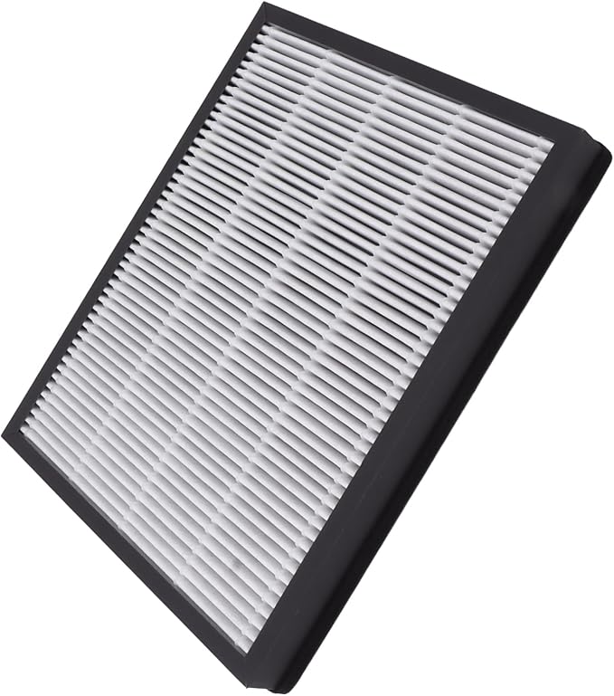 Air Purifier Filter Replacement