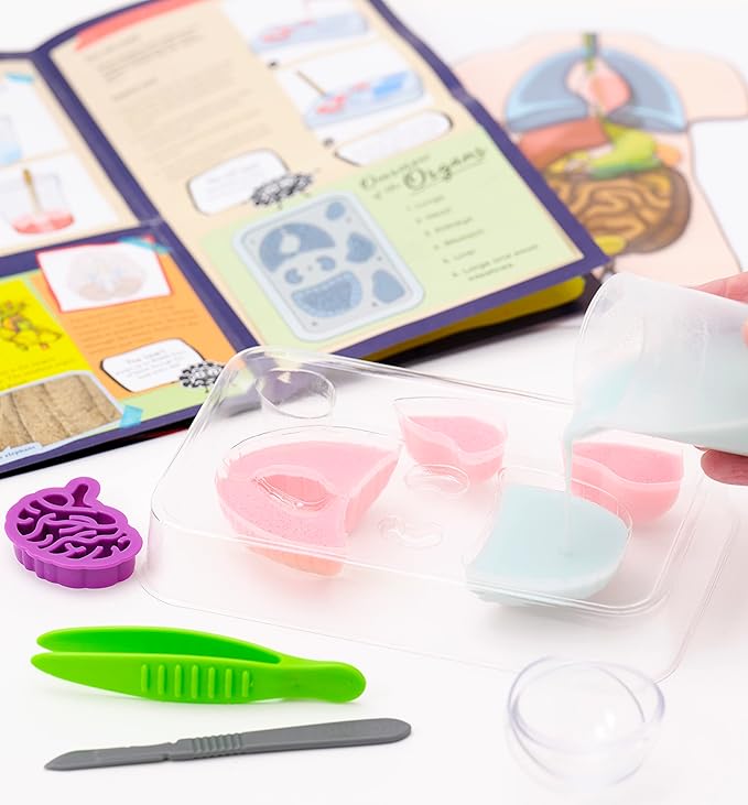 Thames & Kosmos Gross Anatomy: Make-Your-Own Squishy Human Body STEM Experiment Kit | Make Colorful Models of Human Organs with Slime & Putty | Fun, Tactile Intro to Human Anatomy | 5 Cool Activities