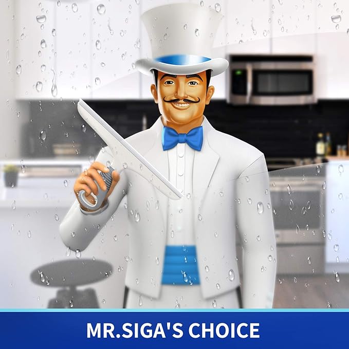 MR.SIGA Silicone Squeegee for Shower Doors, 25 cm/10 inch, White & Gray