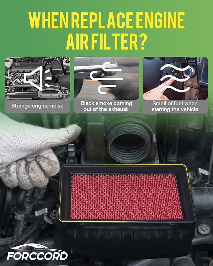 Cabin and Engine Air Filter fit
