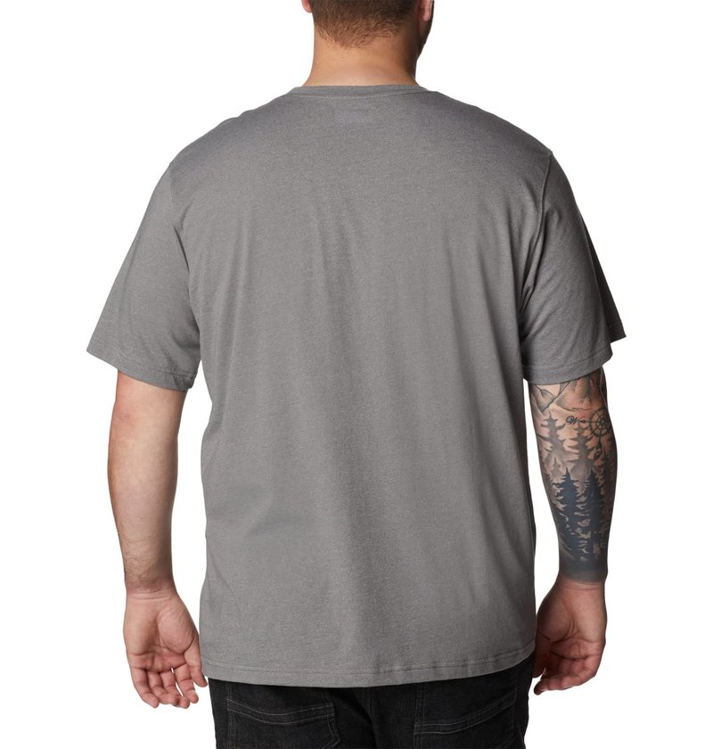 Columbia Men's Thistletown Hills Graphic Short Sleeve, City Grey Heather/Hikers Graphic, 3X Big