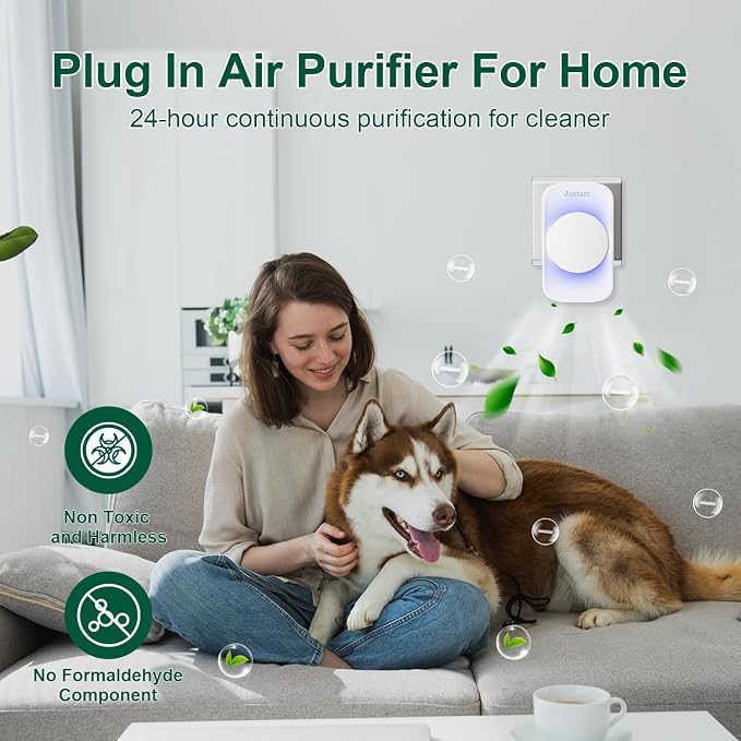 Air Ionizer for Home, Ionic Air Purifier Plug in