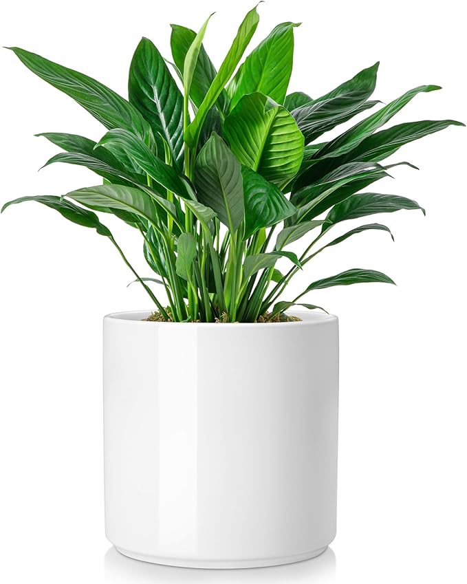 vancasso 8 Inch Ceramic Pot for Plants, Round Outdoor Indoor Planter Pots with Drainage Holes, White