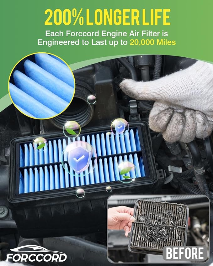 Cabin Air Filter and Engine Air Filter Fit