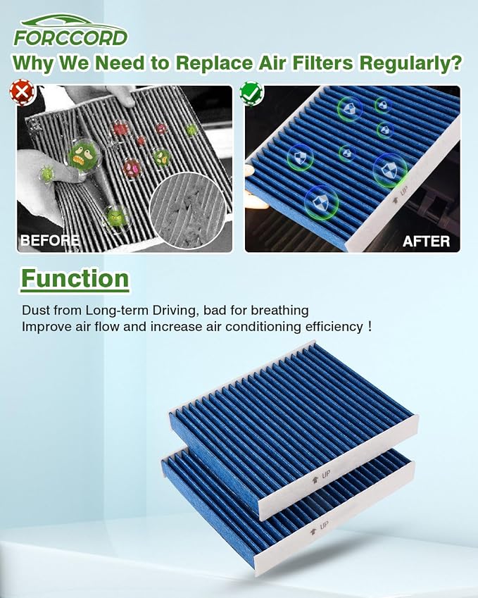 Cabin Air Filter and Engine Air Filter Fit