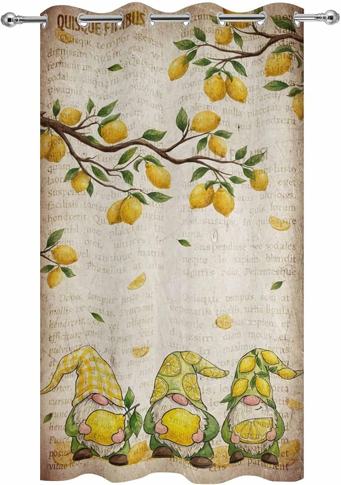 Summer Gnome Outdoor Curtains for Patio Gnome Lemon Leaf Vintage Waterproof