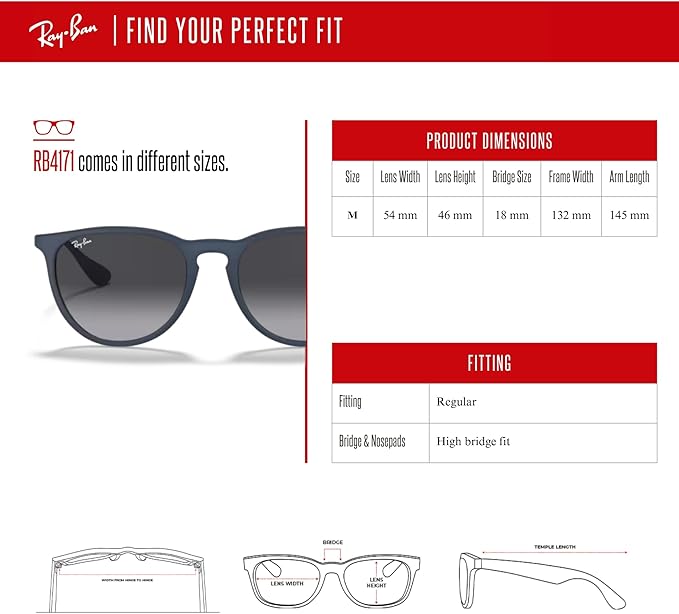 Ray-Ban RB4171 ERIKA Round Sunglasses For Women +BUNDLE with ACCESSORY EYEWEAR KIT