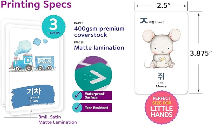 2-Pack Gift Set Korean Alphabet Flashcards for Toddlers, Preschoolers & Beginners | Hangul, Numbers, Colors, Shapes, + 196 Common Household Items Vocabulary