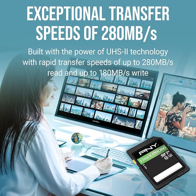 PNY 256GB EliteX-PRO60 UHS-II SDXC Memory Card - R280MB/s W180MB/s, U3, V60, 4K UHD, Full HD, UHS-II for Professional Photographers & Content Creators, DSLR Mirrorless Cameras, Advanced Video Cameras