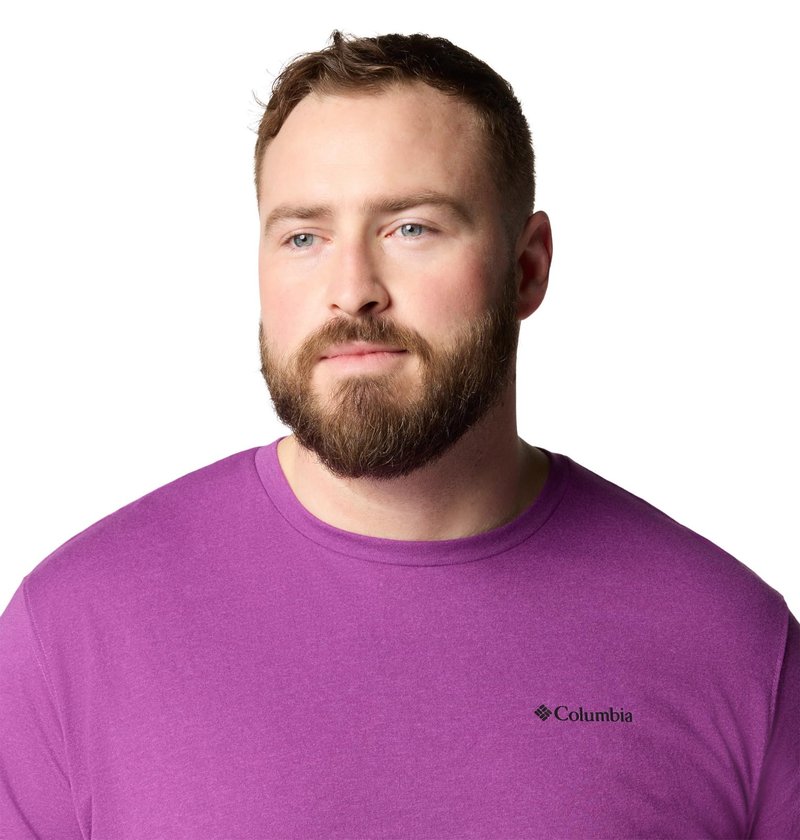 Columbia Mens Thistletown Hills Short Sleeve T-Shirt, Razzle Heather, 1X