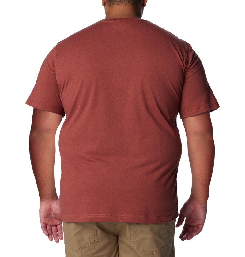 Columbia Men's Thistletown Hills Short Sleeve, Auburn Heather, 5X Tall