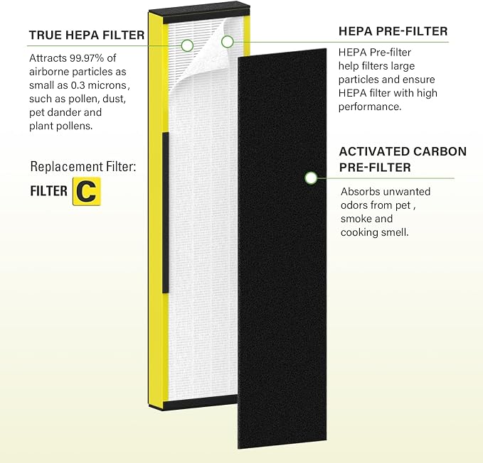 2 Pack FLT5000 True HEPA Replacement filter C