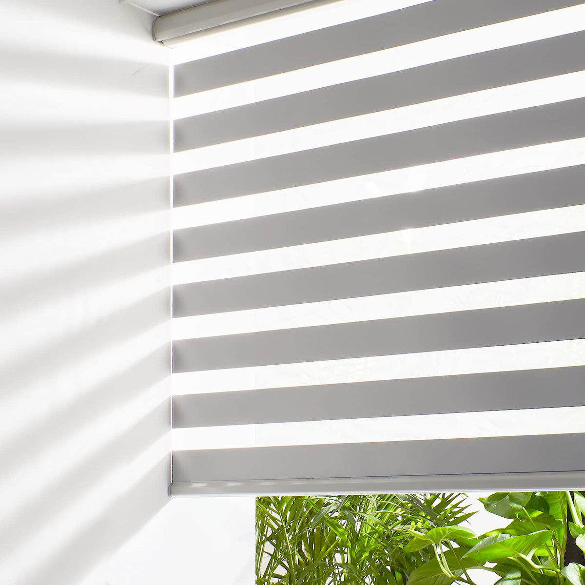 Persilux Cordless Zebra Roller Window Shades Free-Stop Roller Blinds (46" W X 47" H, Grey) Light Control for Day and Night, Light Filtering Sheer Roller Shades for Windows, Easy to Install