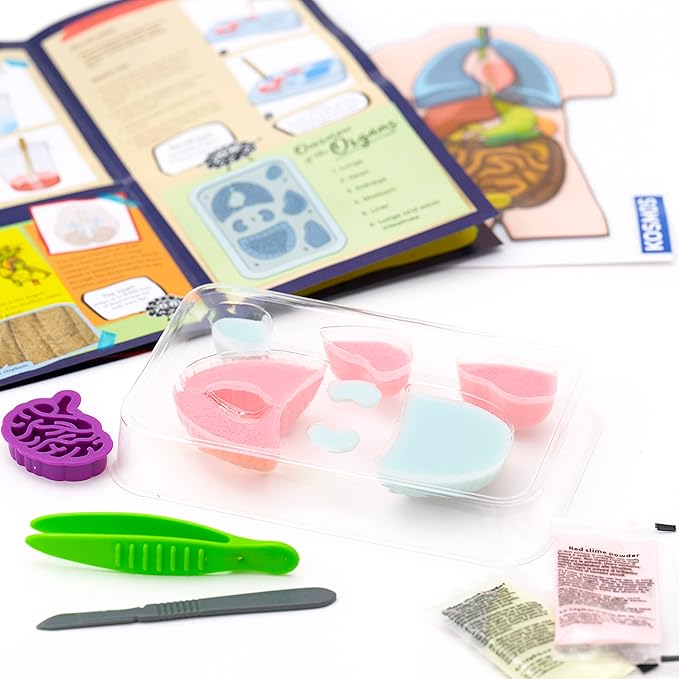 Thames & Kosmos Gross Anatomy: Make-Your-Own Squishy Human Body STEM Experiment Kit | Make Colorful Models of Human Organs with Slime & Putty | Fun, Tactile Intro to Human Anatomy | 5 Cool Activities