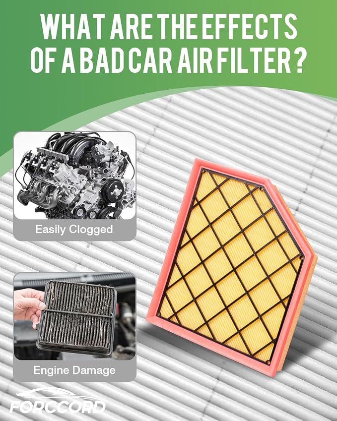 Cabin Air Filter and Engine Air Filter Fit