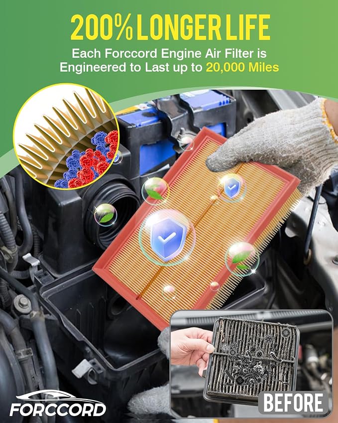Cabin Air Filter and Engine Air Filter Fit
