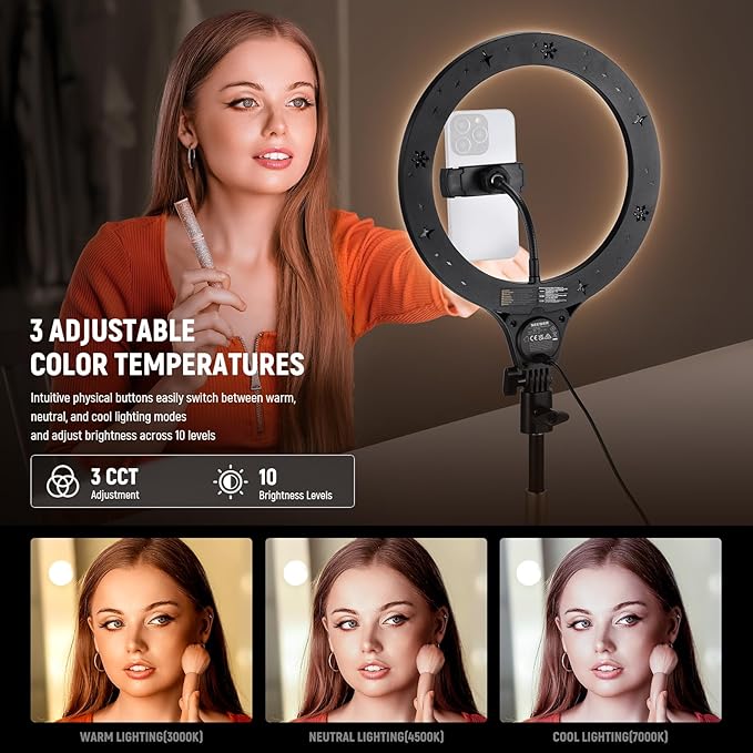 NEEWER Entry Level Version 10.5" Desk Ring Light with Stand/Phone Holder Compatible with iPhone/Remote, 10W CRI85+ LED Lighting for Streaming Recording Makeup Selfie Laptop Video Conference, N22