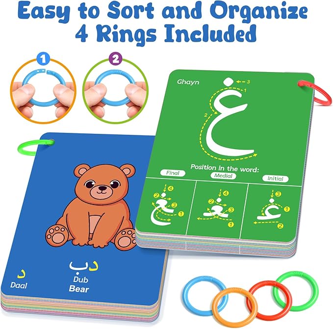 Arabic Alphabet Flash Cards, Learn Arabic Letters for Beginners Adult, Kids, Toddlers, Set of Letter, Sight Word, Color, Shape and Number Flashcard, Preschool Educational Learning Activities
