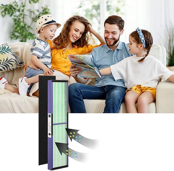 FLT4850PT HEPA Filter B Replacement