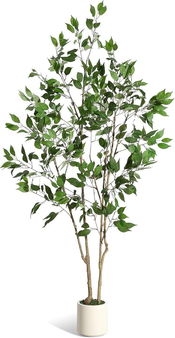 6FT Ficus Trees Artificial Indoor, Faux Silk Plant with Natural Wood Trunk and Lifelike Fruits, White Imitation Ceramic Planter with Green Fake Moss for Modern Home Office Living Room Decor