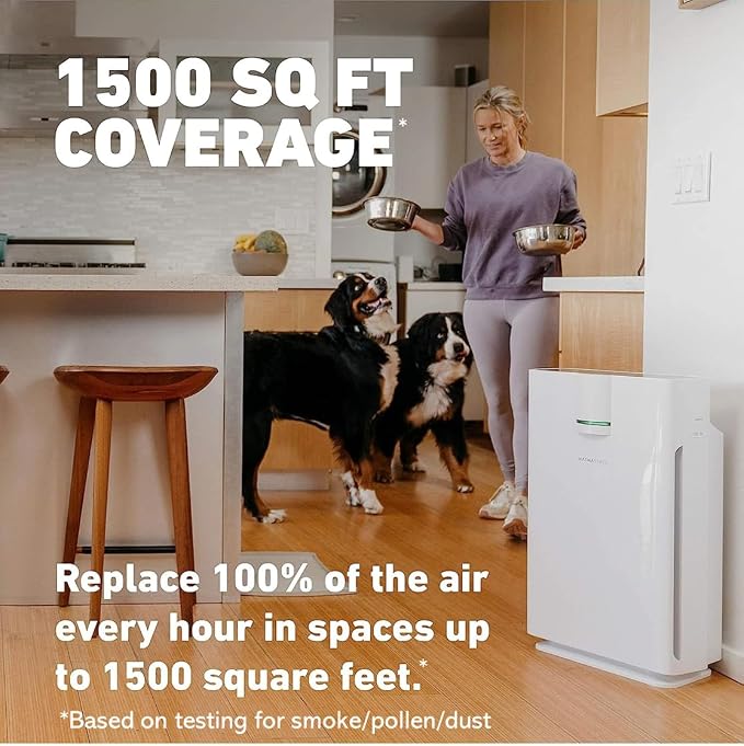 HATHASPACE HSP002 True HEPA Air Purifier