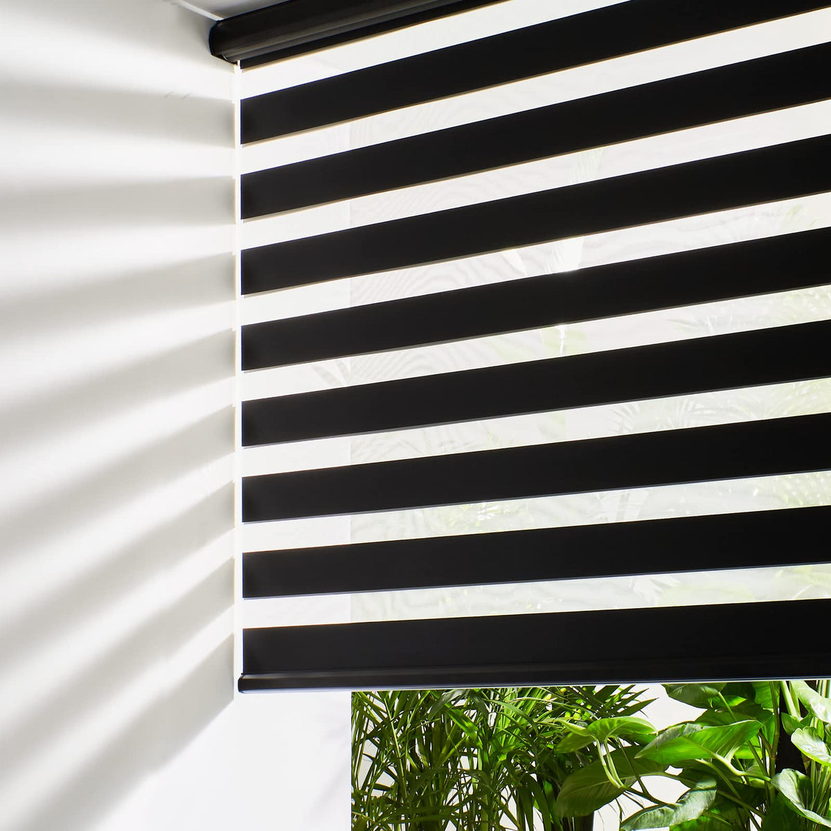 Persilux Cordless Zebra Blinds for Windows Free-Stop Roller Windows Shades (31" W X 72" H, Grey) Dual Layer Light Control for Day and Night, Light Filtering Sheer Shades for Home