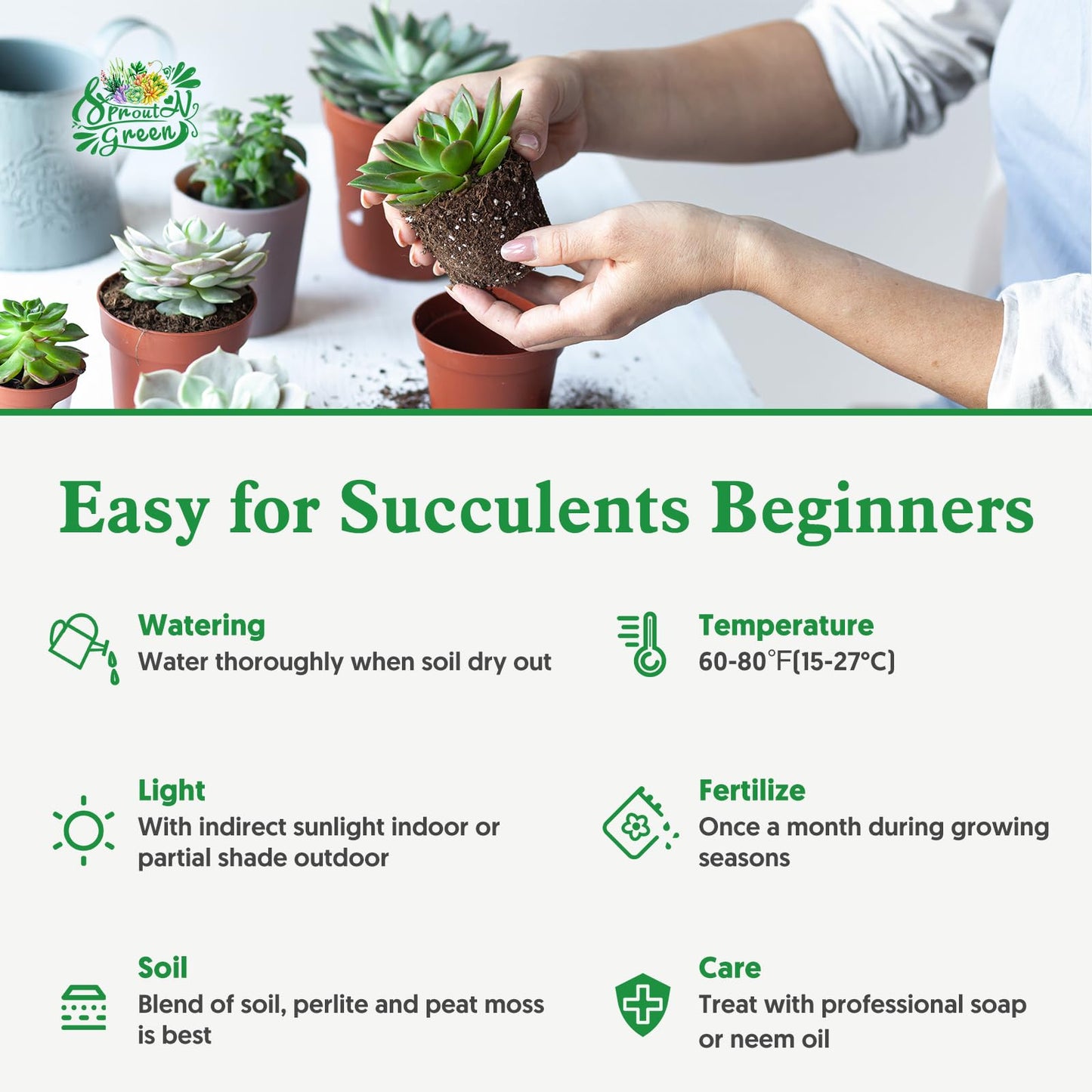Sprout N Green 3 Assorted Succulents with Root, 3 Different Varieties Live Plants Collection, Without Plant Pot, Great for Gardener Beginner, DIY Projects, Wedding Party Favor, Easy to Care
