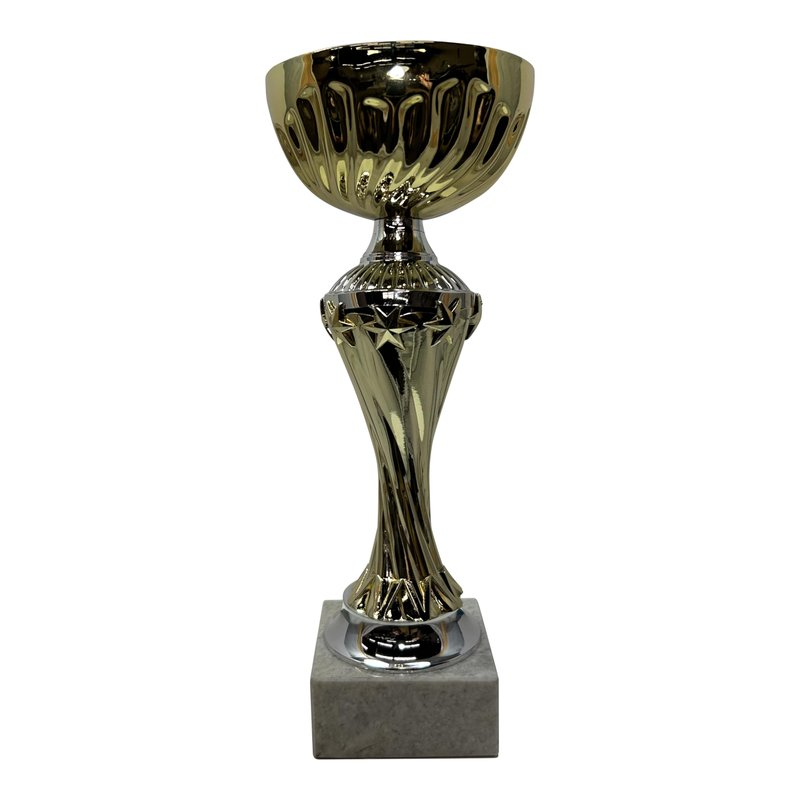Express Medals 10 Inch Trophy Cup - Event, Sport Tournaments, Competitions, Recognition Gift or Award, 10 Inches Tall x 3.5 Inches Wide. AMC327-C