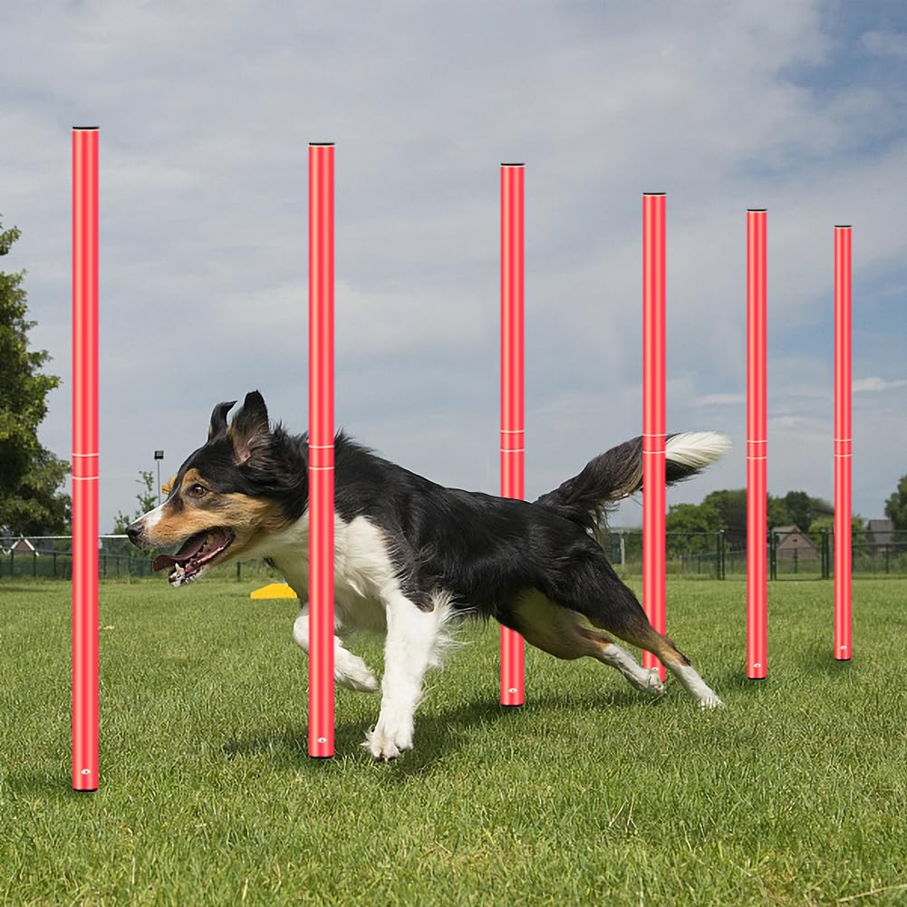 HOTOOLME Soccer Agility Training Poles Set Soccer Training Equipment- Includes 6 Agility Poles,Agility Ladder, 10 Soccer Cones,Jump Rope for Speed Training, Soccer Training, Basketball Athletes & Kids