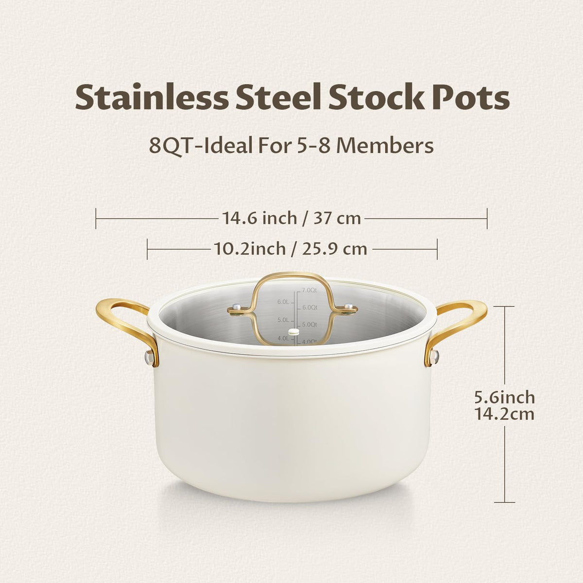 BEZIA 12 Quart Full Clad Try-Ply Stainless Steel Stock Pot, Induction Ready