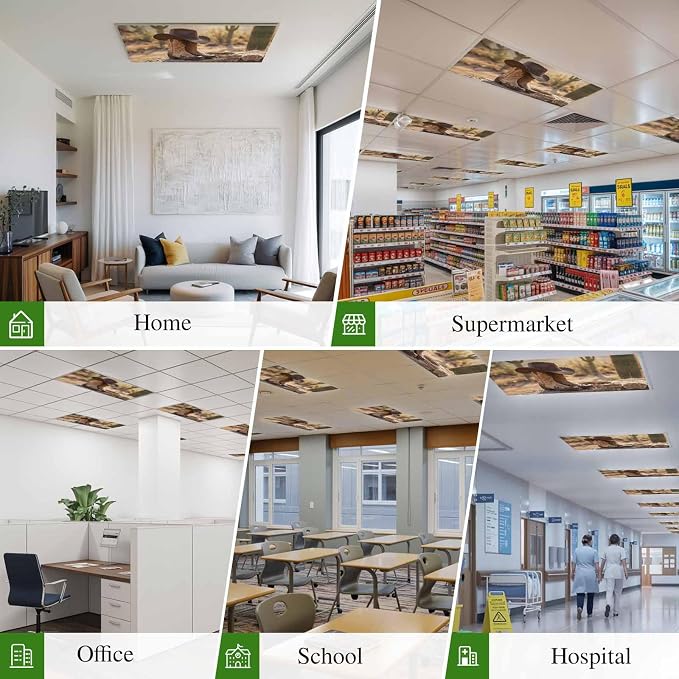 Fluorescent Light Covers, Cowboy Western Magnetic Light Covers