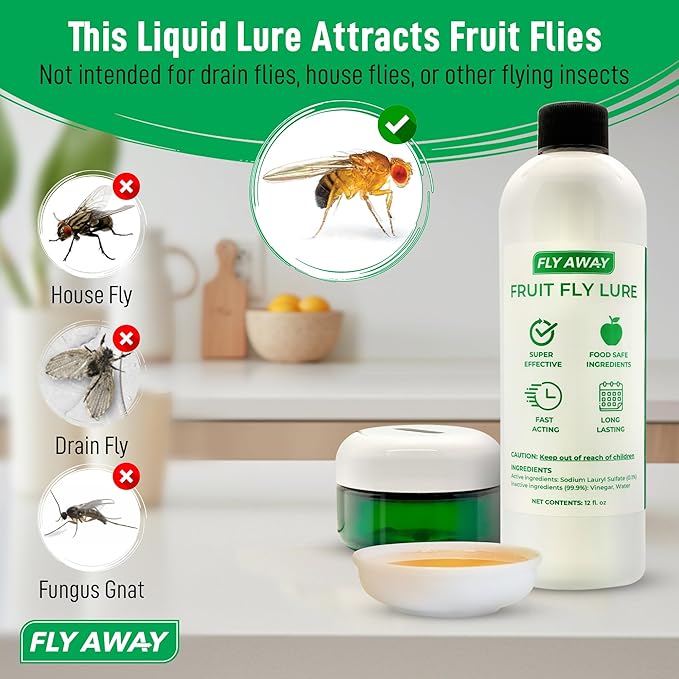 Fly Away - Fruit Fly Trap Kit: 3X Reusable Fruit Fly Traps for Indoors + 12 oz. Liquid Bait. Fast Acting. Attractive Design, Perfect for Homes, Bars and Restaurants. 270+ Day Supply. Made in USA