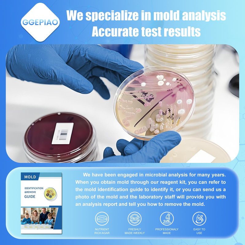 Mold Test Kit for Home,7 Simple Detection Tests,Test HVAC System,Home Surfaces, Indoor Air Quality Testing,DIY Mold Detector for Home,Includes Detailed Mold Identification Guide,Black Mold Testing kit