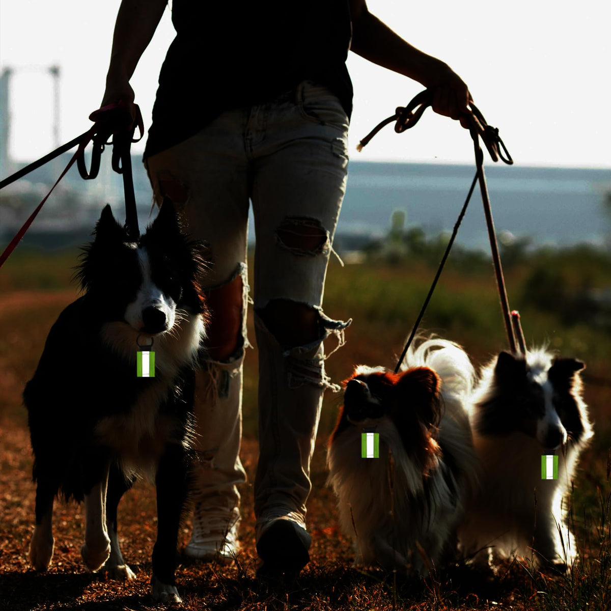10 Pack Reflective Straps for Walking at Night, Glow in The Dark Keychain & Backpack Reflectors, High Visibility Safety Night Running Gear with Zipper Pulls for Dog Collar, Cycling, Camping.