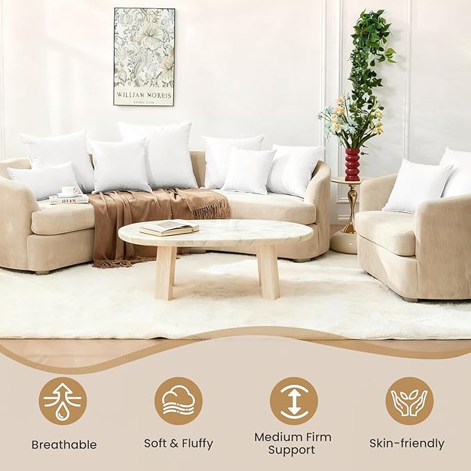 BHZ Euro Throw Pillow Inserts, 22x22 Down Feather Alternative Pillow Inserts Set of 2, Decorative Soft Large Square White Throw Pillows Insert for Couch Bed Dorm Sofa with Cotton Cover