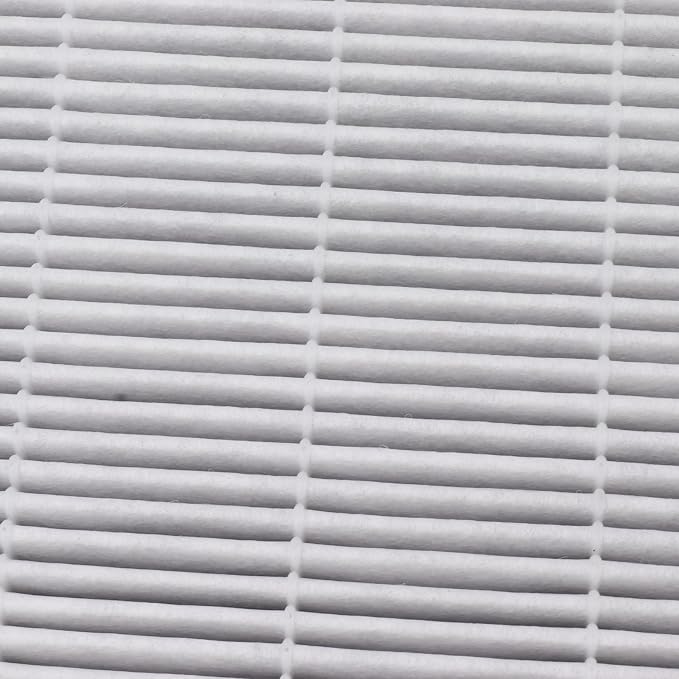 Air Purifier Filter Replacement